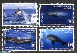 Niuafo'ou 2020 Dolphins 4v, Mint NH, Nature - Sea Mammals - Autres & Non Classés