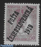 Czechoslovkia 1919 Stamp Out Of Set. 1 V., Unused (hinged) - Sonstige & Ohne Zuordnung