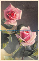 R122516 Birthday Greetins. Pink Roses - World