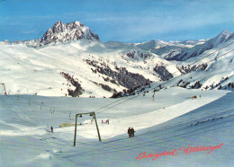 WILDKOGEL, OBERPINZGAU, SALZBURG, MOUNTAIN, SKI RESORT, AUSTRIA, POSTCARD - Other & Unclassified