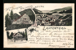 Lithographie Lautenthal / Harz, Hotel Und Pension Prinzess Caroline, Ortsansicht Aus Der Vogelschau  - Sonstige & Ohne Zuordnung