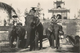 VIETNAM , INDOCHINE , HUE , ELEPHANTS DEVANT UNE PORTE DE LA CITADELLE - Asia