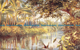 R124440 Fiji River Scene. Tuck. Oilette - World