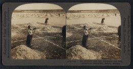 Stereo-Fotografie Keystone View Co., London, Ansicht Solinen, Russiche Salzbauern Beim Verteilen Des Salzes Zum Trockn  - Stereoscopic