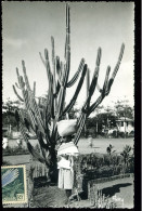 Ihosy La Femme Antancsy à La Soubique STAVY Coupure Sur Le Bord 1958 - Madagaskar