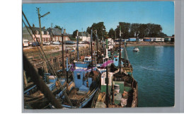 LE CROTOY PLAGE 80 - L'Estacade Et Le Port De Pêche Bateau Carte Vierge - Le Crotoy