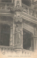 BLOIS : LE CHATEAU - STATUE DE JEAN GOUJON - Blois