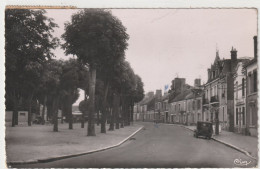 JARGEAU (45 Loiret) Bld Du Saumon - 9x14 Dentelée Glacée- Ed. Combier - Timbrée 1956 - Jargeau