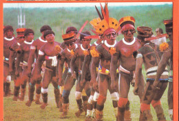 19951 / ⭐ XINGU Indios Brasil Dança Festiva Dos KAMAYURA Na Festa Dos MORTOS KWARUP Mato Grosso 1980s PARANA INDIOS 15 - Andere & Zonder Classificatie