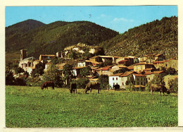 19695 / ⭐ BELCAIRE Aude Vue Générale Village 1970s - SAINT SIMON LARREY 11354 - Other & Unclassified