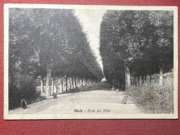 Cartolina - Mede ( Pavia ) - Viale Dei Mille - 1920 Ca. - Pavia