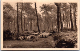 40 TYPES DES LANDES Carte Postale Ancienne [REF 49537] - Autres & Non Classés