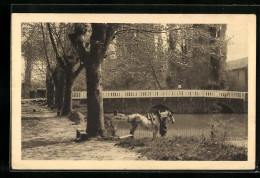 CPA Isle-de-Noé, Pont Neuf Sur La Petite Baise  - Other & Unclassified