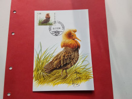 Carte Maximum Oiseaux André Buzin Combattant Varie 04.11.2000 Avec Signature Mr Buzin - 1985-.. Vogels (Buzin)