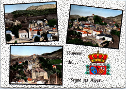 04 SEYNE LES ALPES - CPSM 10X15 R/0035 - Other & Unclassified
