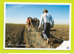 METIERS Agriculture LE LABOUREUR Les Labours Labourage Avec Attelage Chevaux - Paysans