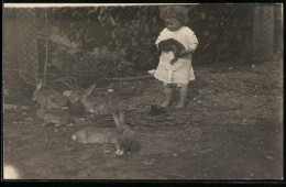 Fotografie Kleines Mädchen Mit Kanninchen Im Arm  - Sonstige & Ohne Zuordnung