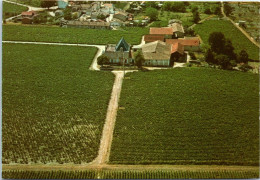 33 PAUILLAC  Carte Semi Moderne 10X15 REF/ [85418] - Sonstige & Ohne Zuordnung