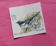 Timbre Non Dentelé Oiseaux De Buzin Pie Bavarde En Francs Belge/euros Bord De Feuille Superieur - 1981-2000