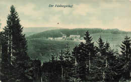 ALLEMAGNE - Feldberg - Der Feldbergerhof - Vue Générale - Village - Carte Postale Ancienne - Feldberg