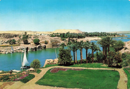 EGYPTE - Assouan - L'île Eléphantine - Carte Postale - Aswan