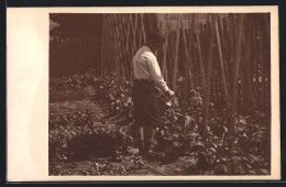 AK Junge Beim Giessen Im Garten  - Cultivation