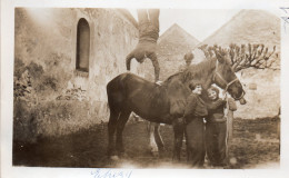 Photographie Vintage Photo Snapshot Cheval Horse Drôle équilibre Gymnastique  - Andere & Zonder Classificatie