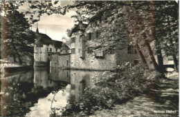 10565326 Seengen AG Schloss Hallwyl  Ungelaufen Ca. 1955 Seengen AG - Sonstige & Ohne Zuordnung