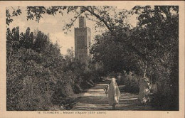 E168 TLEMCEN MINARET AGADIR - Tlemcen