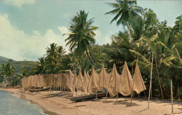 Martinique Plage Et Filets A St Pierre - Autres & Non Classés