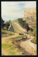 CPSM / CPM 10.5 X 15 Israël (145) JERUSALEM The Valley Of The Kidron  La Vallée Du Cédron - Israel