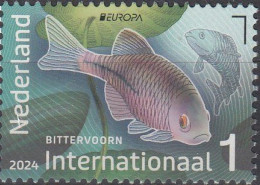 NETHERLANDS 2024 Europa CEPT. Underwater Fauna & Flora - Fine Stamp MNH - Nuevos