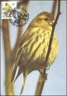 CM/MK° - 2665 - Tarin Des Aulnes / Sijsje / Erlenzeisig / Alder Siskin - BXL-BSL - 5-10-1996 - BUZIN - 1985-.. Vögel (Buzin)