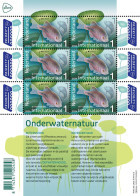 NETHERLANDS 2024 Europa CEPT. Underwater Fauna & Flora - Fine Sheet MNH - Ungebraucht