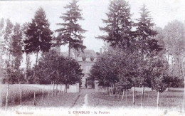 89 - Yonne -  CHABLIS - Le Foulon - Chablis