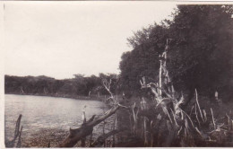 Photo Originale - Militaria -1933/34 -croisiere Du Croiseur JEANNE D'ARC - Madagascar - Lac  A  Nosy-Be  - Oorlog, Militair