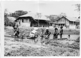 Photographie Vintage Photo Snapshot Asie Sud Est Indochine Village  - Places