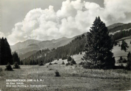 Postcard Switzerland Brambruesch Ob Chur Graub - Other & Unclassified