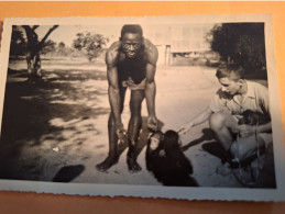 Photo 7 X 11 . Femelles Chimpanzés Et Leur Gardien BRAZAVILLE Congo 1954 - Sonstige & Ohne Zuordnung