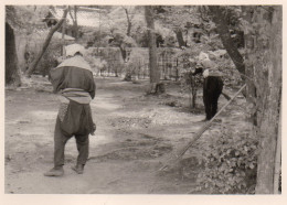 Photographie Vintage Photo Snapshot Asie Sud Est Japon ? Jardin Balai - Plaatsen