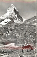 10564660 Matterhorn VS Le Cervin Matterhorn Ungelaufen Ca. 1955 Matterhorn VS - Autres & Non Classés