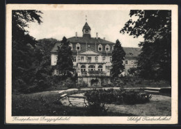 AK Berggiesshübel, Schloss Friedrichsthal  - Andere & Zonder Classificatie