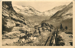  05 - LE CHAZELET - EN ROUTE POUR LES PATURAGES - Autres & Non Classés