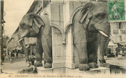  73 - CHAMBERY -  FONTAINE DES ELEPHANTS ET RUE DE LA BOIGNE - Chambery