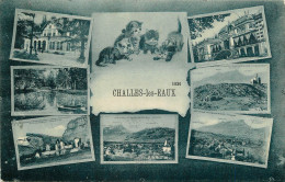  73 - CHALLES LES EAUX - CHATS - Andere & Zonder Classificatie