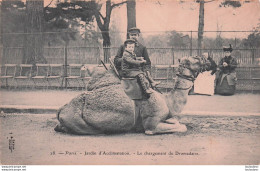 PARIS LE CHARGEMENT DU DROMADAIRE JARDIN D'ACCLIMATATION - Artesanos De Páris