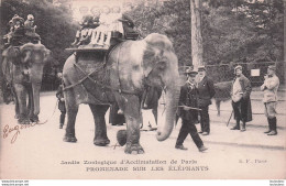 PARIS PROMENADE SUR LES ELEPHANTS JARDIN ZOOLOGIQUE D'ACCLIMATATION - Parks, Gärten