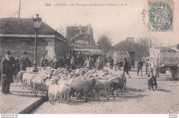 PANTIN UN TROUPEAU DE MOUTONS A L'OCTROI - Pantin