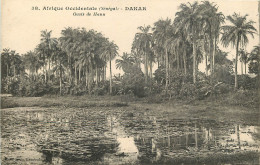   Afrique Occidentale - DAKAR - Oasis De Hann - Sénégal