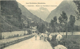  65 - CAUTERETS - Route De Pierrefitte à Cauterets - Troupeau De Vaches - Cauterets